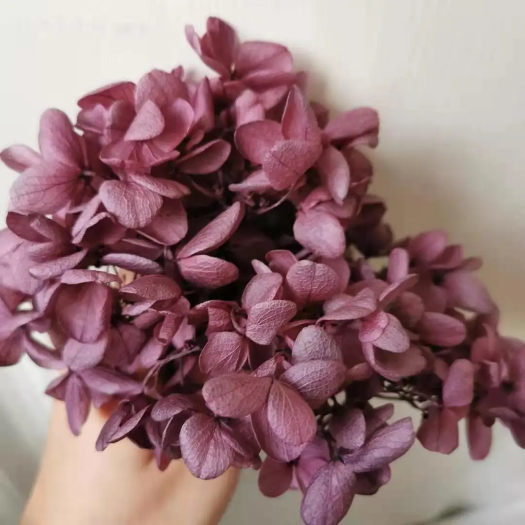 

5 г/лот, натуральная Сохраненная Гортензия Midleaf, натуральная свежая Цветочная головка «сделай сам», Подарочная коробка на День святого Валентина, реальное неизменное свадебное украшение