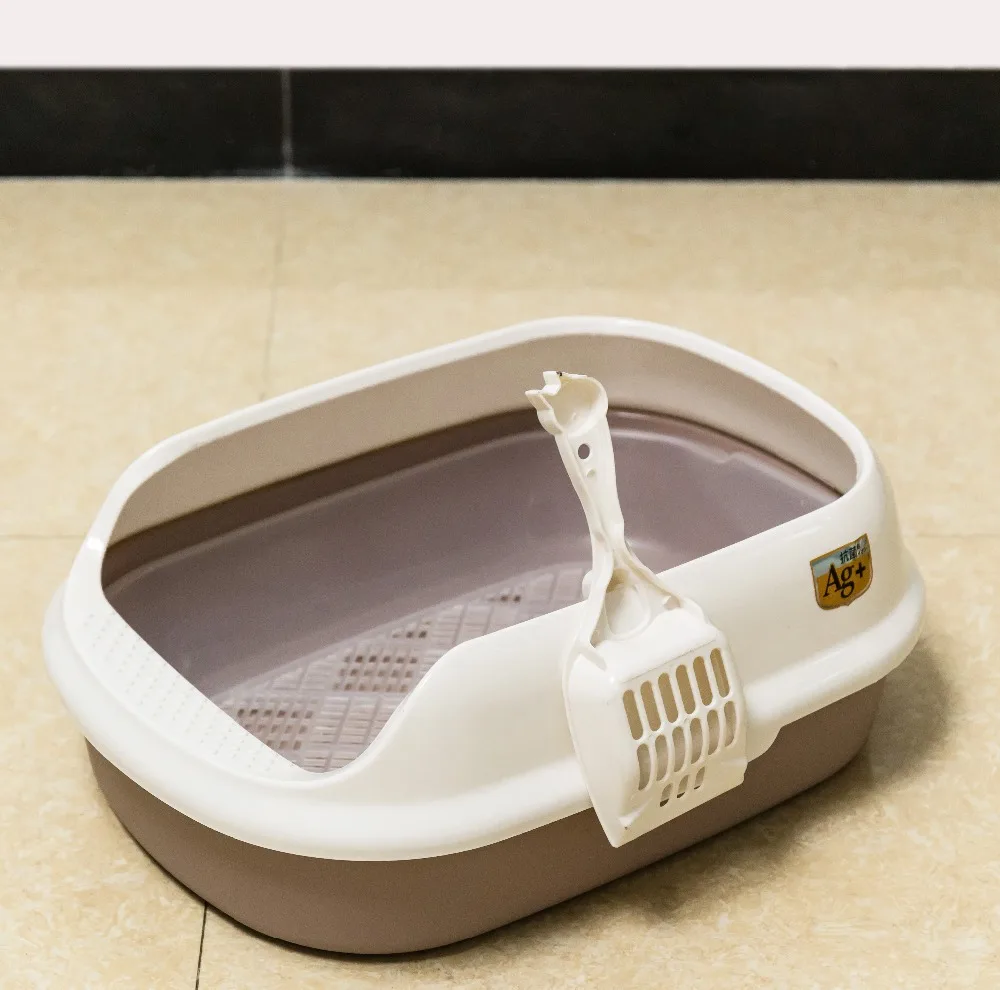 中号 (2)
