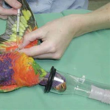 Wondcon máscara de anestesia veterinaria para pájaros máscara de aves espacio cero muerto máscara de oxígeno para roedores para pájaros(China)