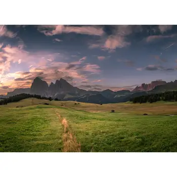 

Vinyl Custom Photography Backdrops Field scenery Theme Photography Background TI20721-02