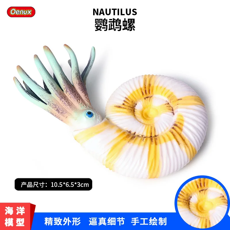 Модель океанов животных модель игрушки древний биологический Nautilus модель раковины Улитка Детская кукла украшения
