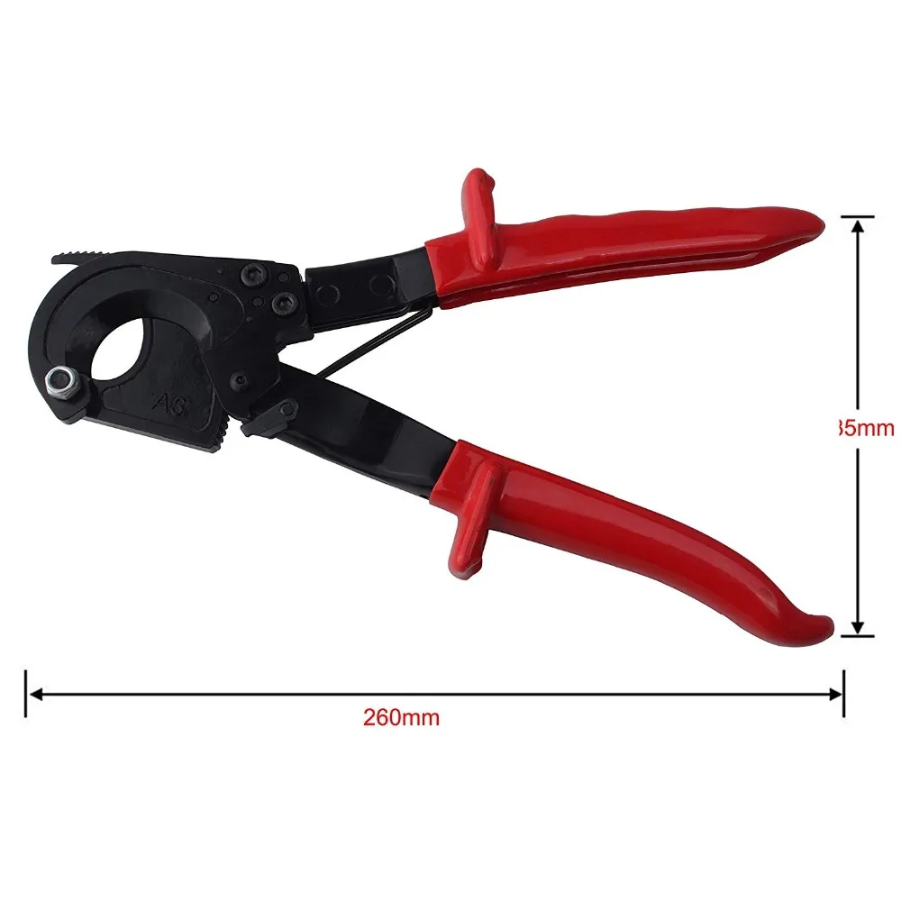 71JuYDm12XL._SL1500_