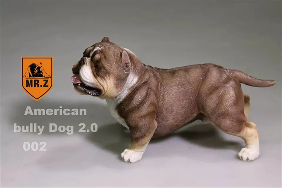 Mr.Z 1/6 American Bully Pitbull Dog Pet Figure Animal Model Decor
