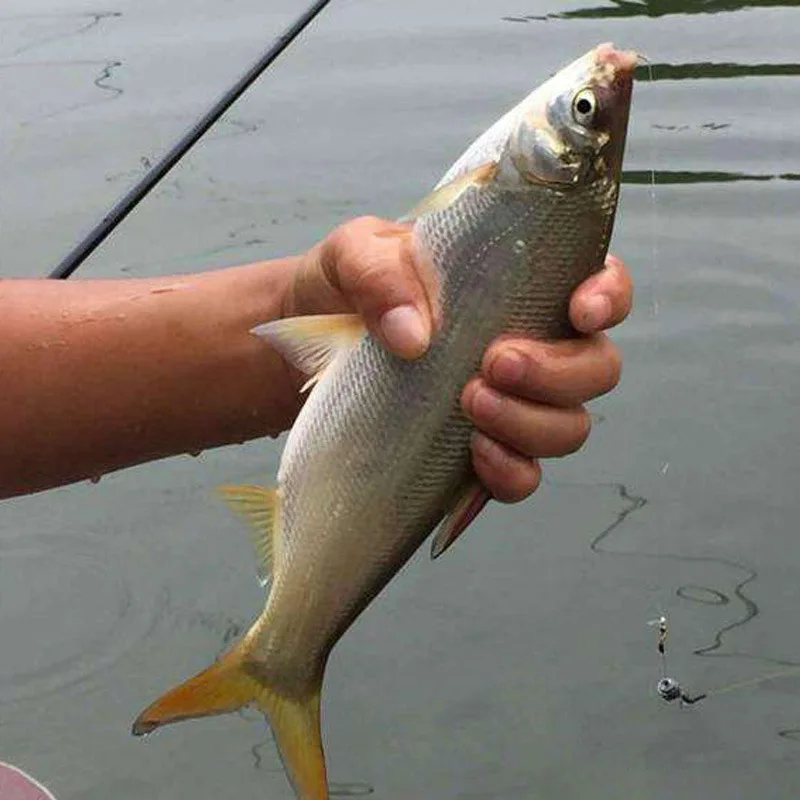 

Yellow Tail Crazy Mouth Fishing Small Greenish Blue Formula Xenocypris Bait Wild Fish Yellow Tail Small Yue Fish-gathering Bait
