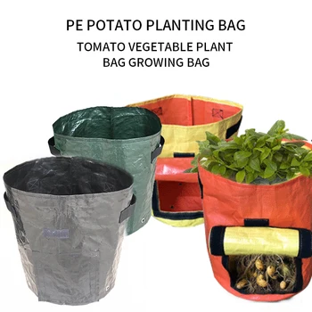 

Plant Grow Bag Breathable Gallon Planter Bag Container with Handles for Harvesting Potato Tomato Vegetables
