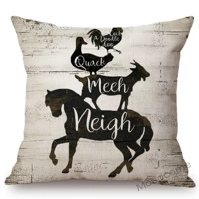 conew_n221 (1) 副本