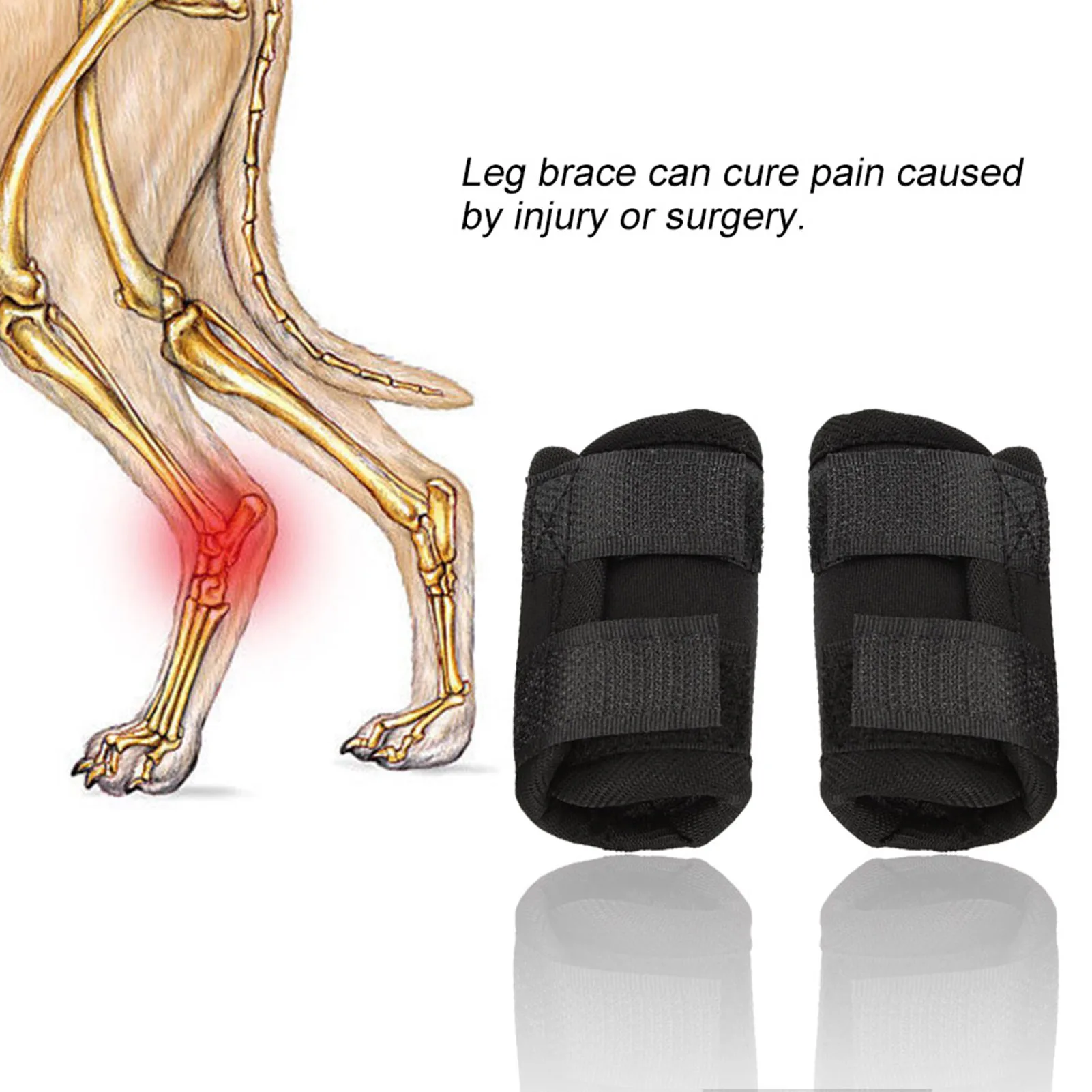 petco knee brace