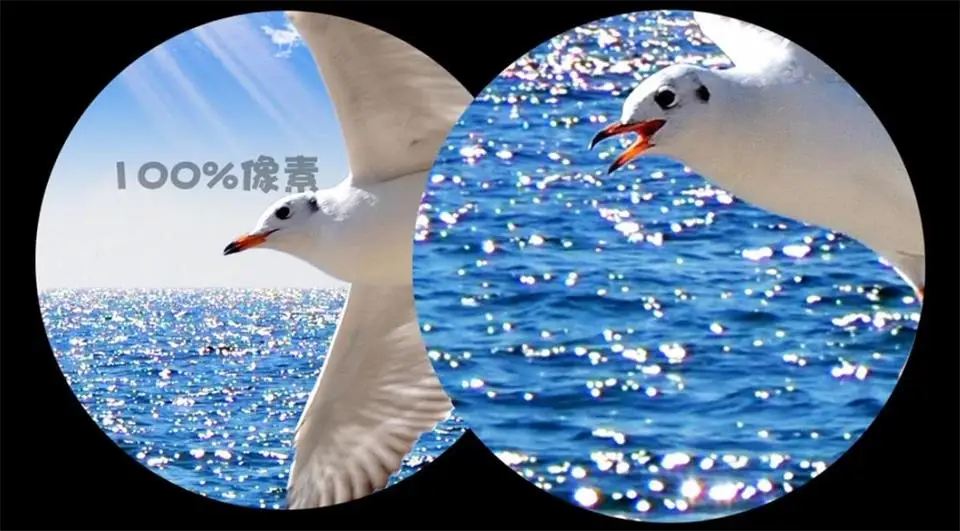 360截图20200505112715378