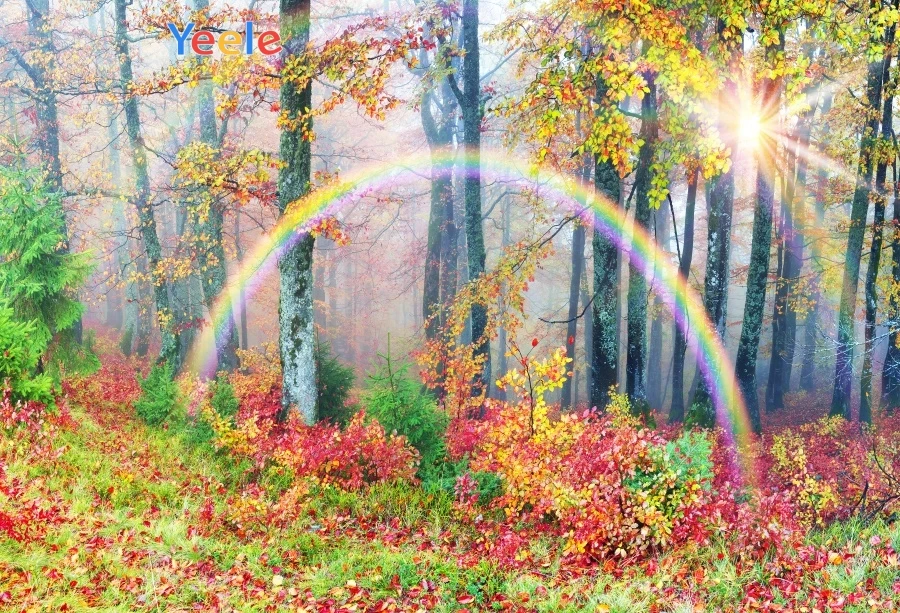 Yeele Осенние Пейзажи фотообои радуга лес цветок фотография Фон