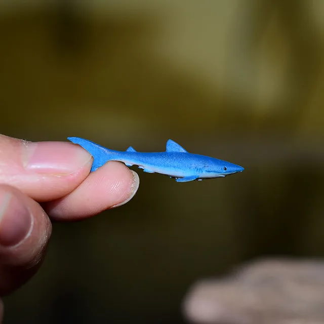 Miniature Oceans Animal Model Turtle Alligator Whale Shark Dolphin Penguin Clownfish Frog Sea World Mini Figurine Decor Toys 5