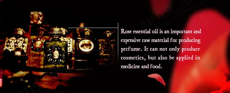 rose_04