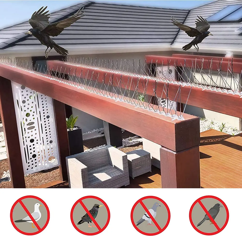 Oryvzor Piques à oiseaux en acier inoxydable pour pigeons et petits oiseaux, plus de nids d