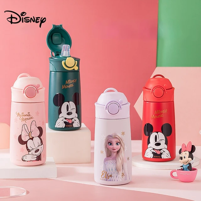 Disney Cup Frozen Elsa Princess Pixar Donald Duck Water Bottle