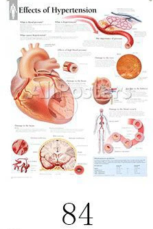Настенная художественная картина, человеческое тело, медицинская образовательная карта, плакат, Анатомия человека, Мышечная система, шелковая ткань, живопись, домашний декор - Цвет: 84