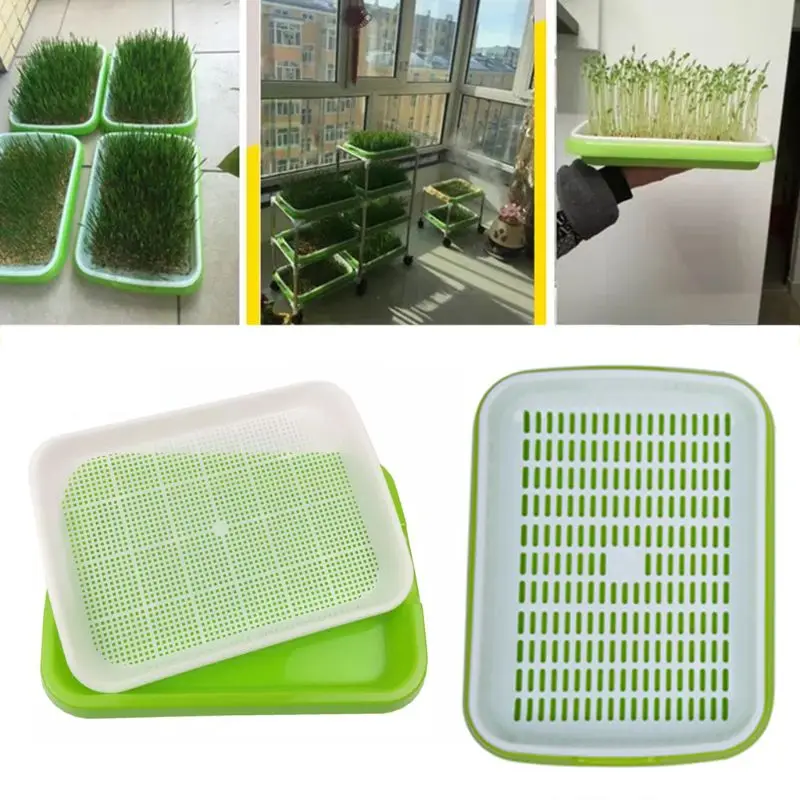 

Seed Sprouter Tray Double-layer Soilless Culture Seeds Hydroponic Nursery Tray 449E