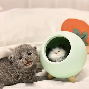 

Little Cute Pet House USB Atmosphere Night Light ABS Beech Home Place Corridor Places Of Leisure&Entertainment Showroom