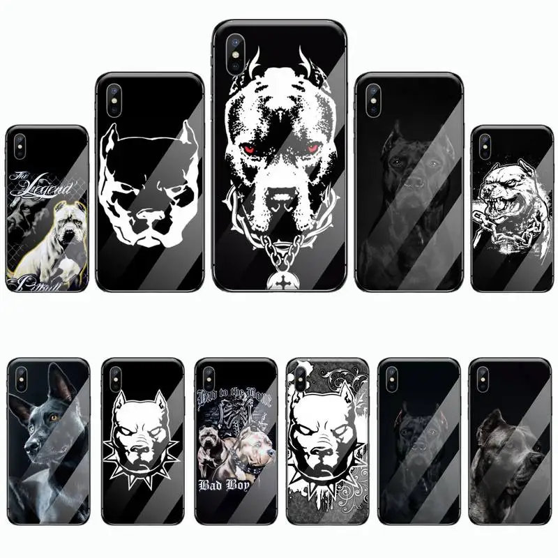 Чехол для телефона питбулл милая собака из закаленного стекла iphone 5C 6 6S 7 8 plus X XS XR 11