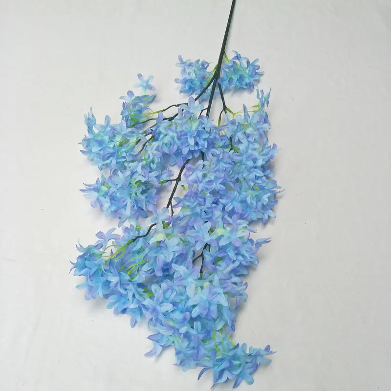 11632277372_1611482457