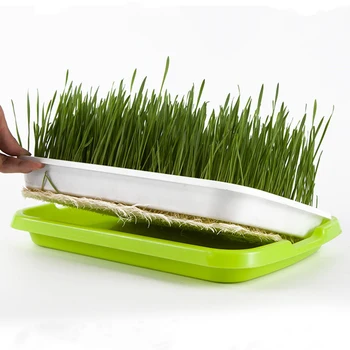 

4pcs Seed Sprouting Basins Soilless Sprouter Trays Water Planting Containers Nursery Site for Wheatgrass Soybean Mung
