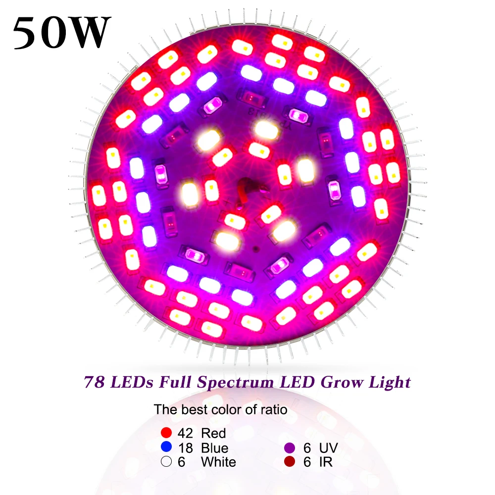 LEDs