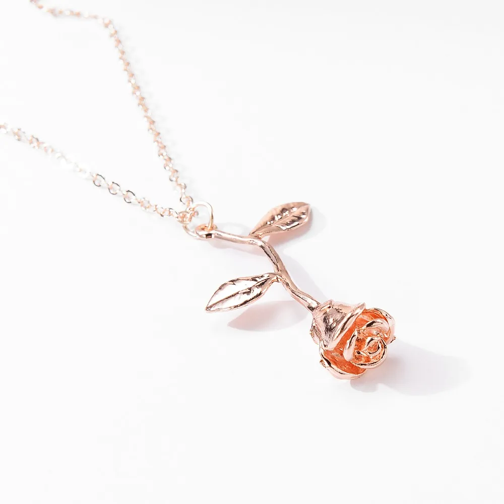 5027484509_1015242489