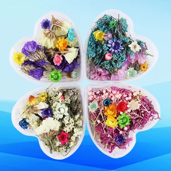 

4 Box 4 Color Petals Nail Sticker Japanese Series Dried Flowers for Salon Home