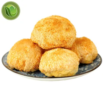 

Nature Organic Lions Mane Mushroom Hericium Erinaceus Brain & Memory Tonic