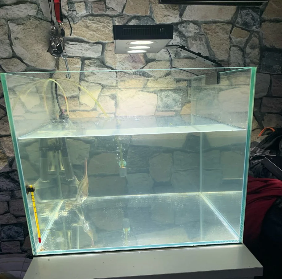 Светодиодный светильник Spectra Nano для аквариума 30 Вт, светильник для морской воды, с сенсорным управлением, для аквариума коралловых рифов, вилка стандарта США и ЕС