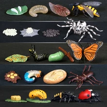 Ciclo de crescimento da borboleta abelha joaninha aranha modelos de ciclo de vida simulação animal modelo figuras de ação material de ensino para o miúdo