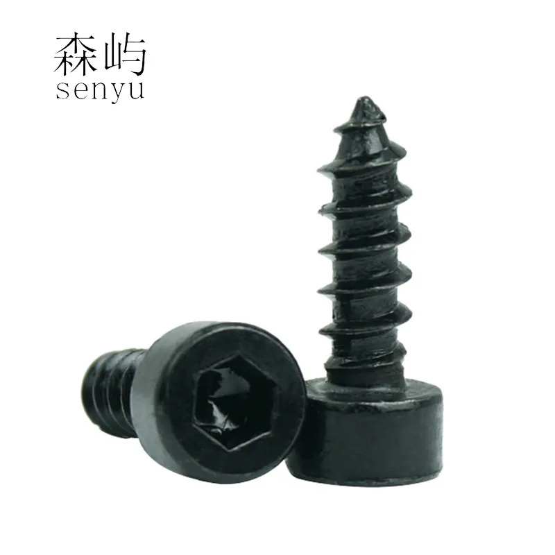Luchang M5 Carbon Steel With Black Hexagon Socket Cap Head self tapping screw Model Screw | Обустройство дома