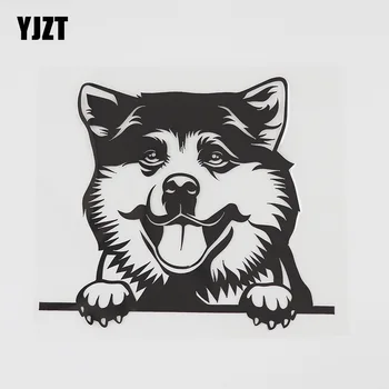 

YJZT 13.9CMX12.1CM Akita Dog Hound Decal Peeking Dog Vinyl Car Sticker Black/Silver 8A-0522