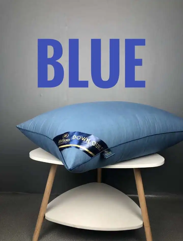 Blue Anti-Feather Down Pillow