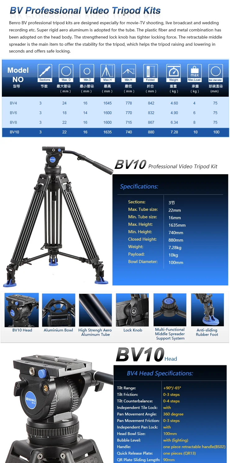 bv10_01