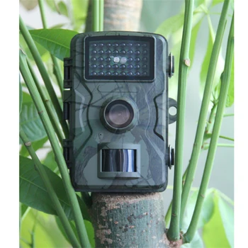 

Trail Camera Photo Trap Infrared Sensor Hunting Cameras 1080P Wildlife DL001 Wireless Surveillance Tracking Camera
