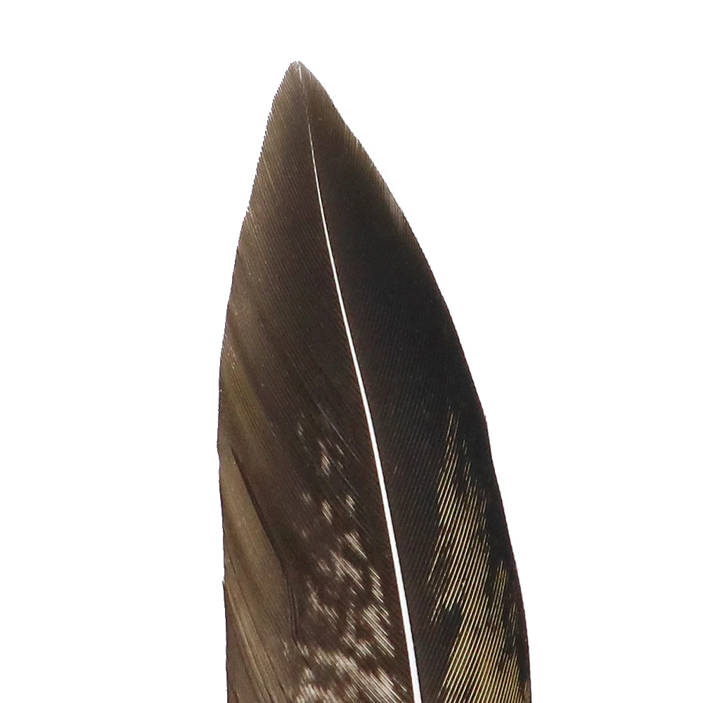 细节 (1)