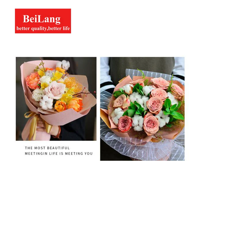 BeiLang натуральный вечный хлопок сушеные цветы для домашнего декора фото реквизит Атмосфера декоративные цветочные композиции