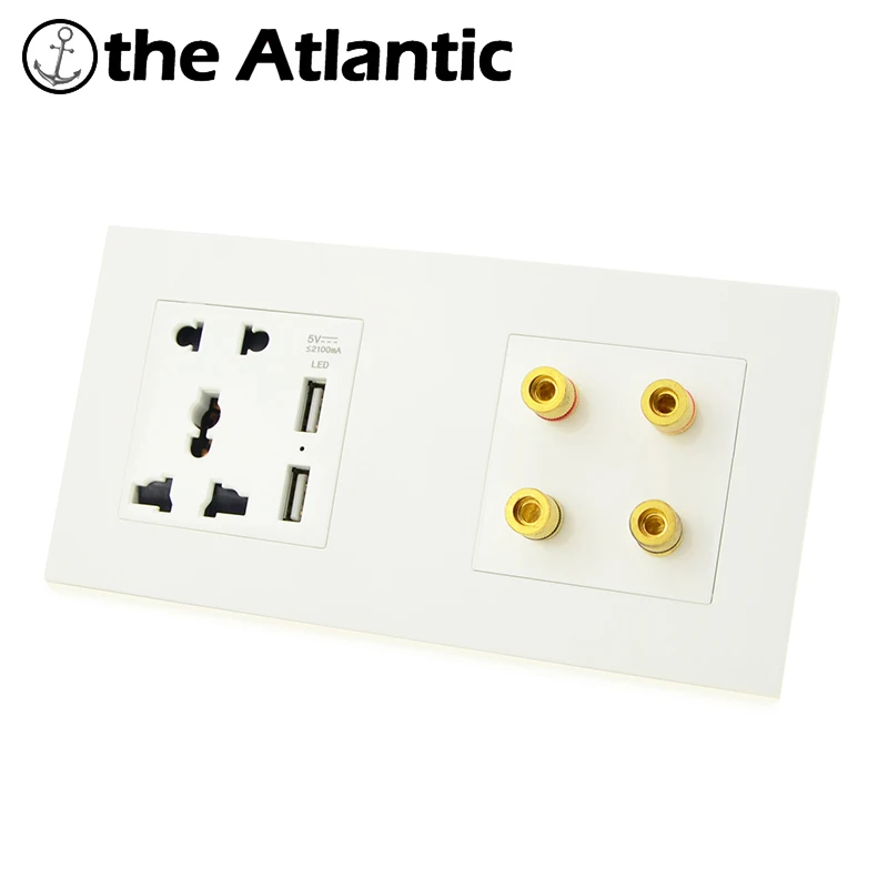 

Atlectric Universal Multi-Function Wall Double Socket Dual USB Port Sound Speaker Audio Jack Socket Power Electrical Outlet