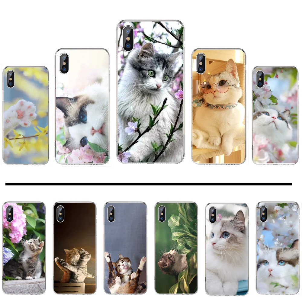 Мягкий милый блестящий черный чехол для iphone 4 4s 5 5s 5c se 6 6s 7 8 plus x xs xr 11 pro max| |