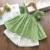 Kids Girls Clothing Sets Summer New Style Brand Baby Girls Clothes Футболка с коротким Рукавом+Брючное Платье 2шт Детская Одежда Костюмы