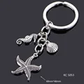 KC5053 Starfish