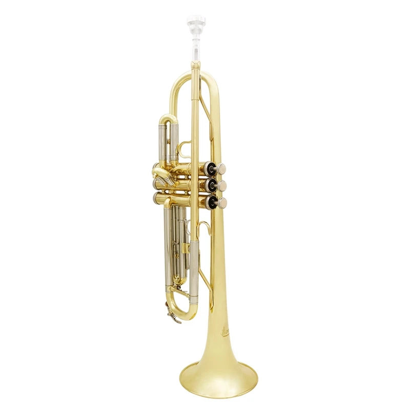 ABGZ-Slade Bb труба B плоская прочная Латунная Труба для начинающих музыкальный инструмент с мундштуком перчатки и Изысканная сумка