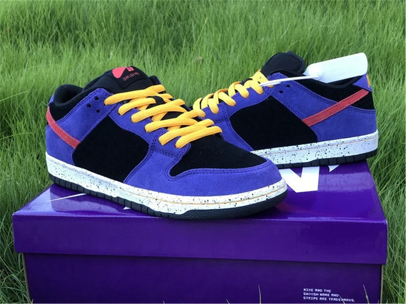 SB Dunks/низкие кроссовки ACG для мужчин и женщин Черные мужские езды на велосипеде