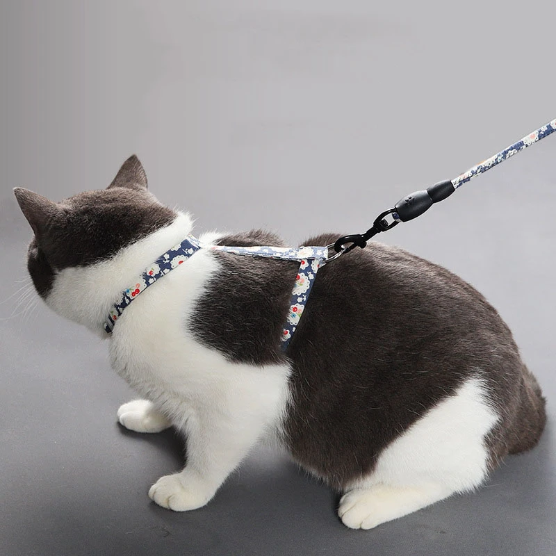 rope leash harness