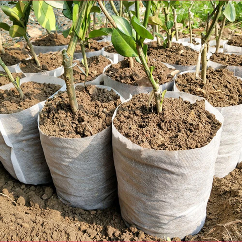 100 個不織布保育園バッグ通気性植物生分解性を成長生地苗ポット家庭菜園用 Grow Bags Aliexpress 100 個不織布保育園バッグ通気性植物生分解性を成長生地苗ポット家庭菜園用 Grow Bags Aliexpress