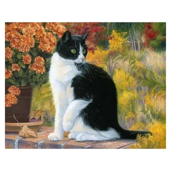 

DIY Paint By Numbers Canvas Oil Painting Kit for Kids & Adults 40 x 50cm Drawing Paintwork Cat-with Frame