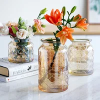 Glas Vase Wohnzimmer Getrocknete Blumen Nordic Glas Transparent Hause Dekoration Zubehör Blume Vasen Tabletop Vase