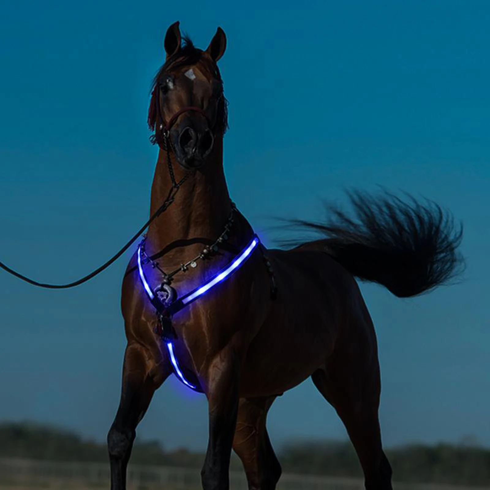 LED Horse Breastplate Collar Safety Reflective Equestrian Breast Collar Straps Horse LED Chest Breastplate Collar 2
