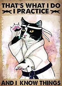 

LINQWkk Tin Sign That's What I Do-I Practice and I Know Things Poster, Black Cat Print, Karate Gift, Japanese Cat Poster, Japan