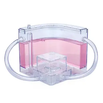 

Colorful Funny Ant Farm Ants House Insect Specially Ant Nest