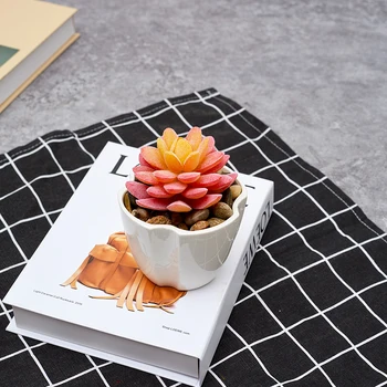 

Ceramic small flowerpot fleshy potted innovative style multilateral Diamond White simple style desktop Trinket